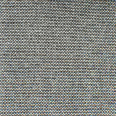 Panama Gris Oscuro by Gaston Y Daniela Fabric