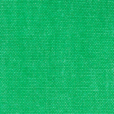 Panama Verde Menta by Gaston Y Daniela Fabric