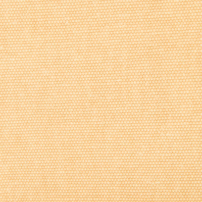Panama Beige by Gaston Y Daniela Fabric