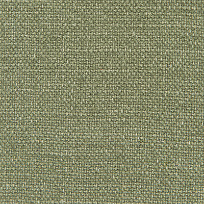 Nicaragua Verde Oscuro by Gaston Y Daniela Fabric