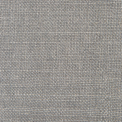 Nicaragua Gris by Gaston Y Daniela Fabric