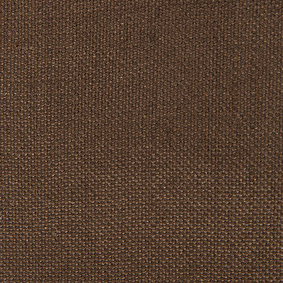 Nicaragua Chocolate by Gaston Y Daniela Fabric