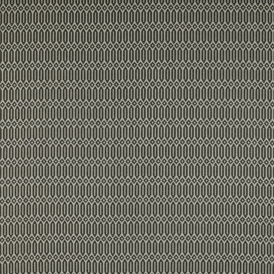Varese Onyx by Gaston Y Daniela Fabric