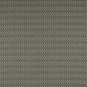 Varese Onyx by Gaston Y Daniela Fabric