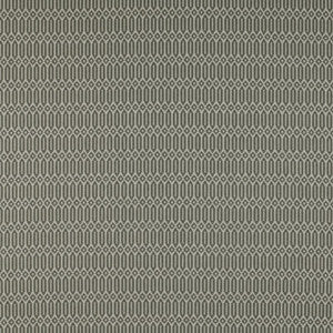 Varese Gris by Gaston Y Daniela Fabric