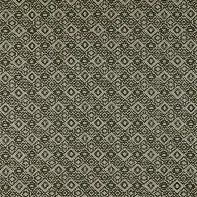Lecco Onyx by Gaston Y Daniela Fabric