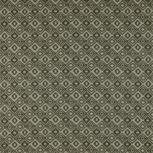 Lecco Onyx by Gaston Y Daniela Fabric