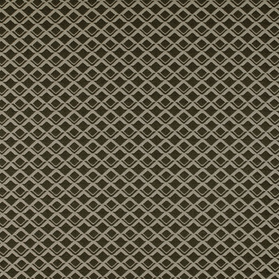 Lodi Onyx by Gaston Y Daniela Fabric