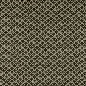 Lodi Onyx by Gaston Y Daniela Fabric