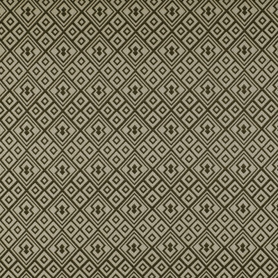 Bergamo Onyx by Gaston Y Daniela Fabric