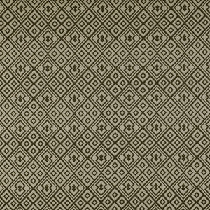 Bergamo Onyx by Gaston Y Daniela Fabric