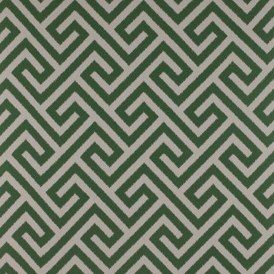Trevi Verde by Gaston Y Daniela Fabric