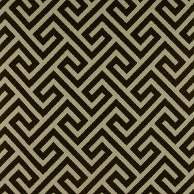 Trevi Onyx by Gaston Y Daniela Fabric