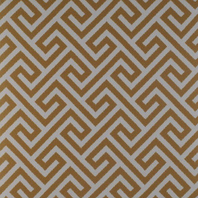 Trevi Ocre by Gaston Y Daniela Fabric