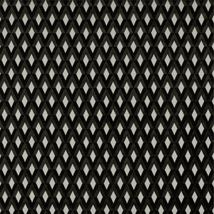San Piero Blanco/Onyx by Gaston Y Daniela Fabric