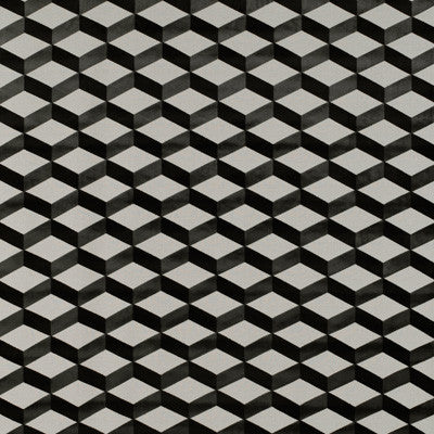 Livorno Blanco/Onyx by Gaston Y Daniela Fabric