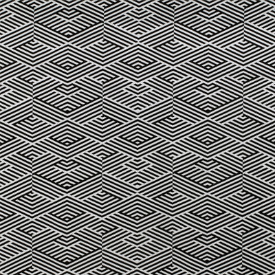 Murlo Blanco/Onyx by Gaston Y Daniela Fabric