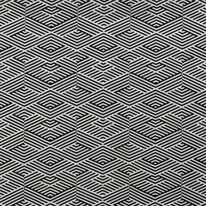 Murlo Blanco/Onyx by Gaston Y Daniela Fabric