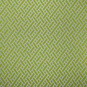 Nairobi Verde by Gaston Y Daniela Fabric