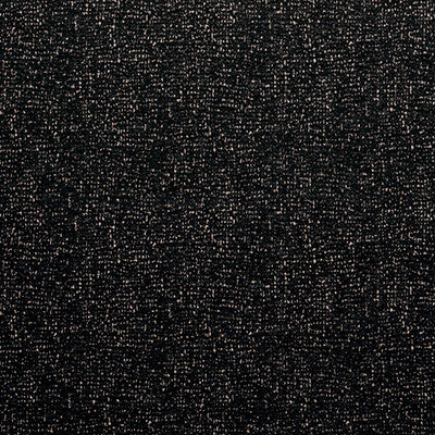 Lualaba Black by Gaston Y Daniela Fabric