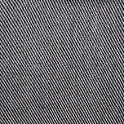 Victoria Acero/Blanco by Gaston Y Daniela Fabric