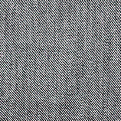 Victoria Plomo/Lino by Gaston Y Daniela Fabric