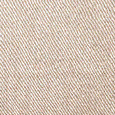 Victoria Arena/Blanco by Gaston Y Daniela Fabric