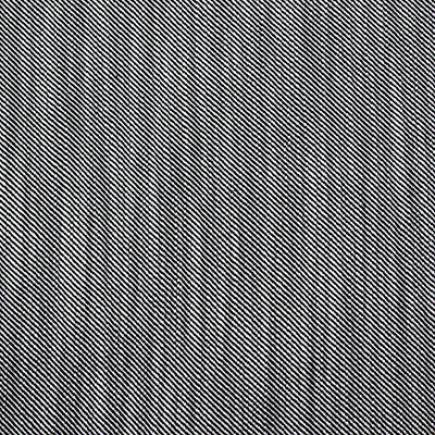 Victoria Black/Blanco by Gaston Y Daniela Fabric