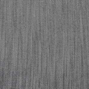 Victoria Black/Blanco by Gaston Y Daniela Fabric