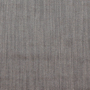 Victoria Beige/Black by Gaston Y Daniela Fabric