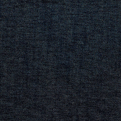 Uganda Black/Blanco by Gaston Y Daniela Fabric