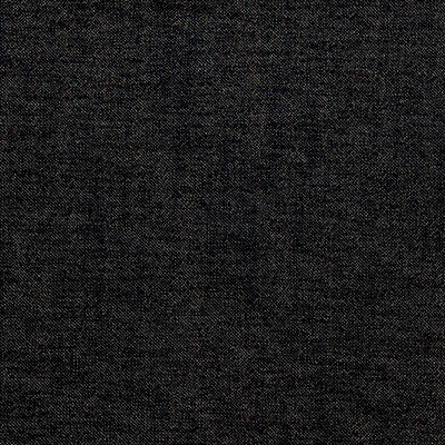 Uganda Black by Gaston Y Daniela Fabric