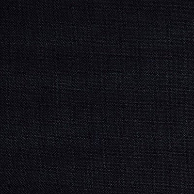 Shaba Black by Gaston Y Daniela Fabric
