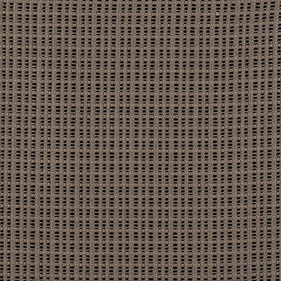 Out Lino/Negro by Gaston Y Daniela Fabric