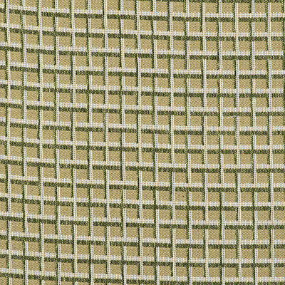 Rejas Verde by Gaston Y Daniela Fabric