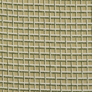 Rejas Verde by Gaston Y Daniela Fabric