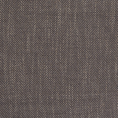 Enea Gris by Gaston Y Daniela Fabric