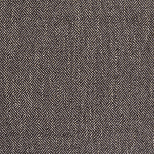 Enea Gris by Gaston Y Daniela Fabric