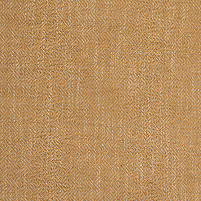Enea Oro by Gaston Y Daniela Fabric