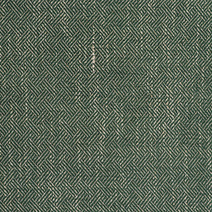 Enea Verde by Gaston Y Daniela Fabric