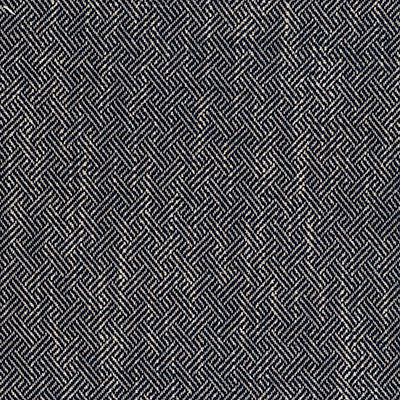 Enea Navy by Gaston Y Daniela Fabric
