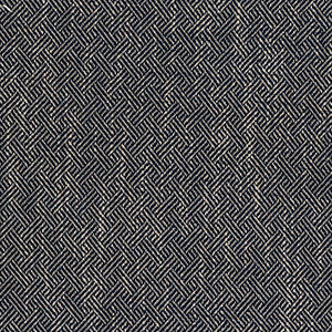 Enea Navy by Gaston Y Daniela Fabric