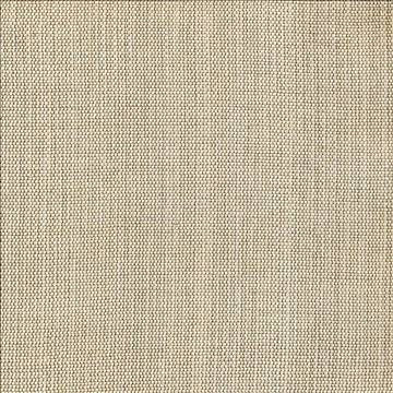Genghis Alabaster by Kasmir Fabric 1378 89% Viscose 11% Silk INDIA 15,000 Wyzenbeek Double Rubs H: N/A, V: N/A 54 - Fabric Carolina - Kasmir
