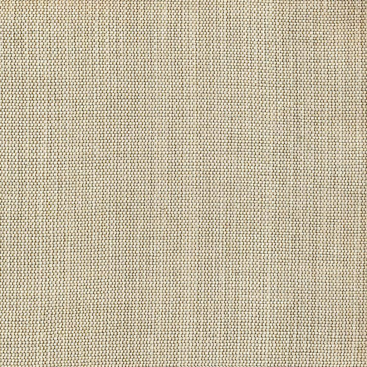 Genghis Alabaster by Kasmir Fabric 1378 89% Viscose 11% Silk INDIA 15,000 Wyzenbeek Double Rubs H: N/A, V:N/A 54 - Fabric Carolina - Kasmir