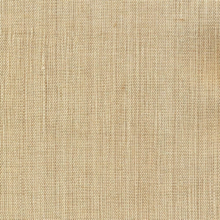 Genghis Beige by Kasmir Fabric 1378 89% Viscose
11% Silk
 INDIA 15,000 Wyzenbeek Double Rubs Horizontal: N/A and Vertical: N/A 54 - Fabric Carolina -