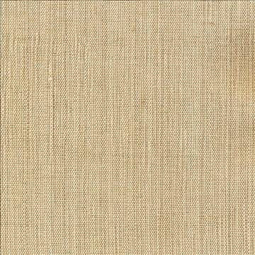Genghis Beige by Kasmir Fabric 1378 89% Viscose 11% Silk INDIA 15,000 Wyzenbeek Double Rubs H: N/A, V: N/A 54 - Fabric Carolina - Kasmir