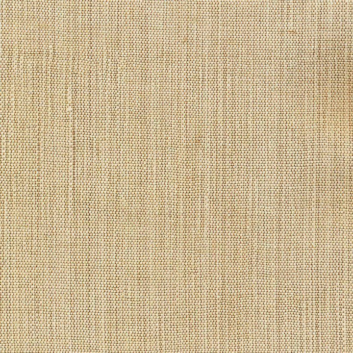 Genghis Beige by Kasmir Fabric 1378 89% Viscose 11% Silk INDIA 15,000 Wyzenbeek Double Rubs H: N/A, V:N/A 54 - Fabric Carolina - Kasmir