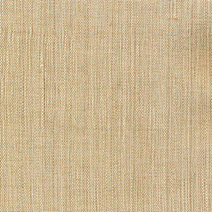Genghis Beige by Kasmir Fabric