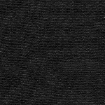 Genghis Black by Kasmir Fabric 1378 89% Viscose 11% Silk INDIA 15,000 Wyzenbeek Double Rubs H: N/A, V: N/A 54 - Fabric Carolina - Kasmir
