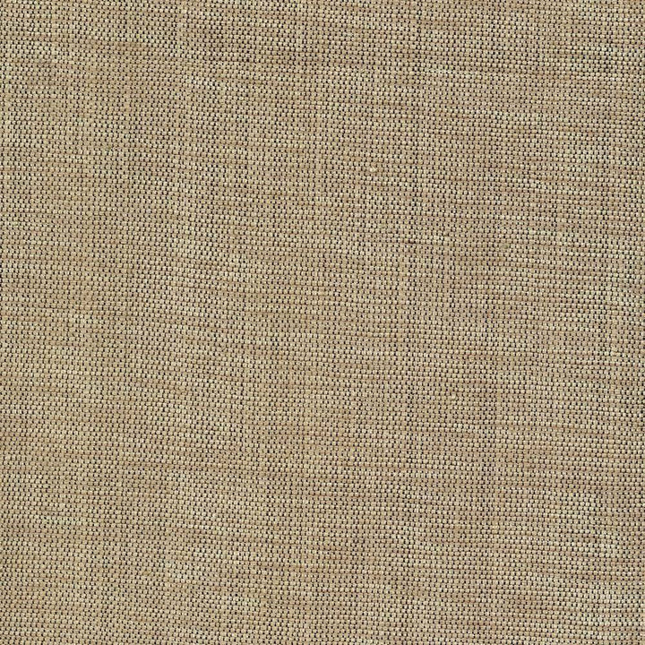Genghis Cafe by Kasmir Fabric 1378 89% Viscose 11% Silk INDIA 15,000 Wyzenbeek Double Rubs H: N/A, V:N/A 54 - Fabric Carolina - Kasmir